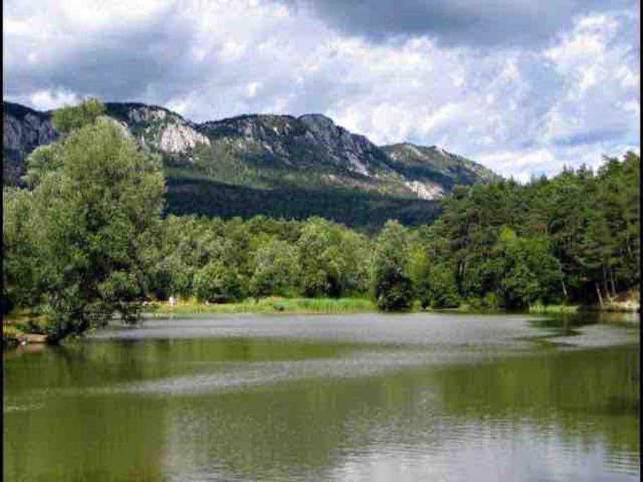 Greolieres: Superbe Studio Avec Vue Montagne Exterior foto